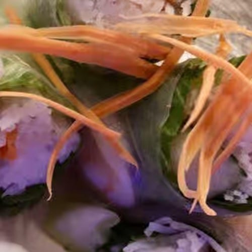 Summer Rolls.